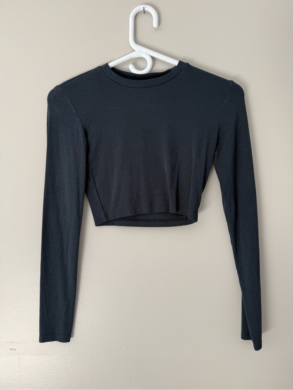Zara basic long sleeve cropped